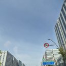 마곡 차여성의원 산전검사결과 후기_e- 보건소 산전검사 솔직 후기 (영양제, 예방접종)