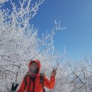 좋은아침 - 양천구 목동동로8길 17 | 좋은아침