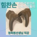 [11월] 정희원선생님 직강 - 근육근막풀이 실습교육 모집안내 이미지