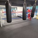 고잔복싱 이미지