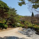 그라운드소요 - 113405 | 그라운드소요