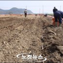 진전면940 이미지