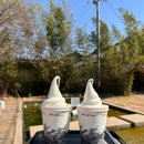 솔의정원 | 경주 황리단길 <카페솔> | 대릉원 정문 한옥 정원카페 솔라떼 후기