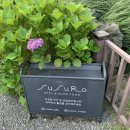 제주 동쪽 조용한 감성숙소 추천 - 수수로 제주 (susuro.jeju)