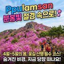 불암산 철쭉축제 주차 해결 비법! 남준봉(여행스케치) &amp; 박승화(유리상자 실물 영접하는 날짜?