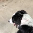 [뚜벅이 홀로 제주여행] Day1 선인장서프 (서핑 준비물, 강습후기)