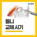 마모이룸 이미지