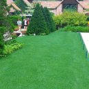 경중목장 1 | 유배가 준 선물 : 문인예술 경계의 심화 - 우봉 조희룡의 임자도 유배시 그린 묵죽의 심미특성을 중심...