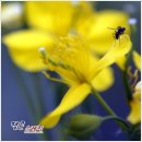 예밀농장 이미지