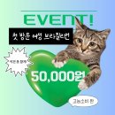 디자인아크 | 광주 왁싱] 웨딩촬영 전 관리필수, 디자인 눈썹부터 헤어라인까지💫 <아크리즘> 솔직후기!(+할인정보 필독)