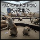 환경로 | 인천 아이와 가볼만한곳 국립생물자원관 인천 생생채움 실내 후기