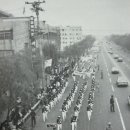 중앙동142 이미지