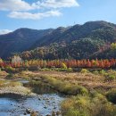 용소1길 이미지