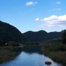 본리천 네이버블로그