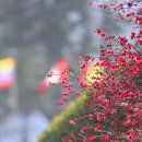 매화1공원 이미지