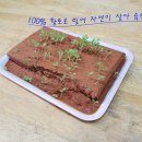 신원아침도시경로당 이미지