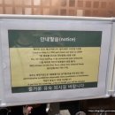 블루스프링 부띠끄 호텔 | [제주도] 블루스프링부띠끄호텔 : 협재해수욕장 오션뷰 숙소 내돈내산 후기