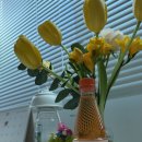 태평사우나 이미지