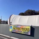 [애견동반 숙소] 포천 쏘쿨이네 글램핑 애견동반글램핑 애견동반펜션 내돈내산후기
