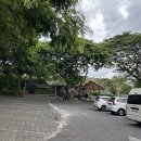 [남부] 라인댄스 A | 발리 여행 남부투어 울루와뚜 사원 등 코스 단독차량 후기