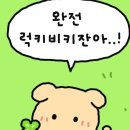 스페푸 | 스페푸 가수분해간식 젠틀육포 후기