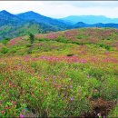 제 47차 정기산행［초암산］_090510 이미지