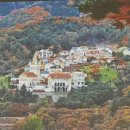 사진작가반 이미지