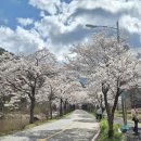 보성장식 | 보성 대원사 다녀오면 놀라는 이유! 일반사찰과 전혀 다른 5가지 포인트