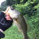 선행저수지 이미지