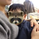 포크밸리로스트하우스 | 오산 포크밸리 로스트하우스 찾았다 삼겹살 맛집