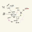 이안정 이미지