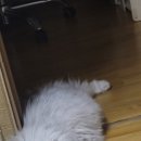 이 하얀바다 이미지
