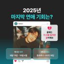용한 판다선생 판밍밍 하반기 솔탈 시기 예측 후기