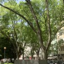 ✈️ [Lisbon Day 2] 리스본 2일차 코스 (캄푸 드 오우리크 성당, Lisboa é Linda, 폰토 피날 예약 후기)