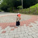 (주)제트캡