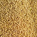 수빈농장 이미지