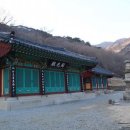 영주어머니 이미지