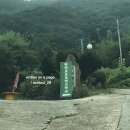 하하호호프렌드 네이버블로그