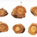 넘버원허브 이미지