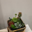 여주-0704 이미지