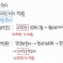 생각비타민국어학원