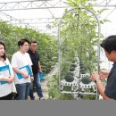 경제농장 이미지