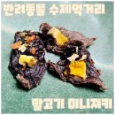 반려동물수제간식만들기 | 반려동물 수제간식 말고기 미니져키 만들기 | 미니피그 복남이와 강아지들이 반한 건강 간식 레시피