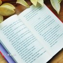 송&김약국 이미지