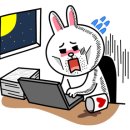 호야펫 이미지