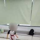 아이스타 태권도 이미지