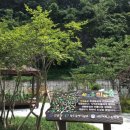 서진여자고등학교 이미지