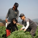 우범농장 이미지