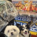 학산스테이
