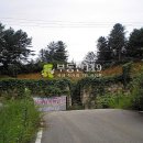 금대리농장 이미지